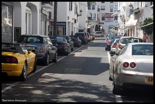 Banus