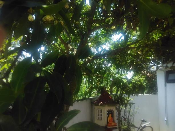 Ramesh Guesthouse