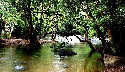 Green Grace Wayanad