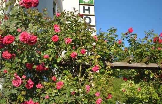 Hotel Garni Am Schafersberg