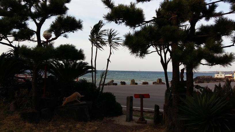 Jeju Orto Pension & Guest House