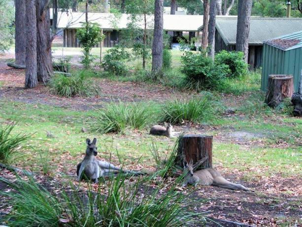 Woodbine Park Eco Cabins Bournda National Park Compare Deals