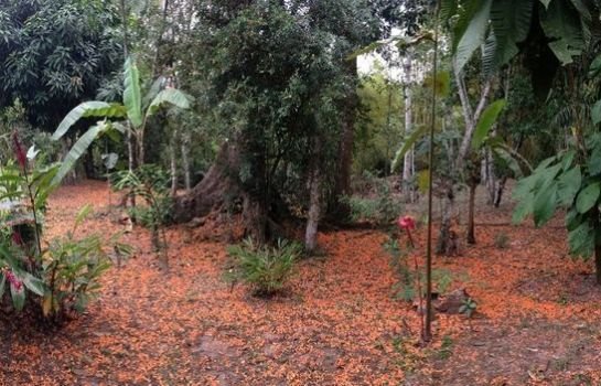 Los Huingos Eco Lodge