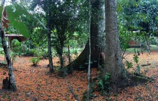 Los Huingos Eco Lodge