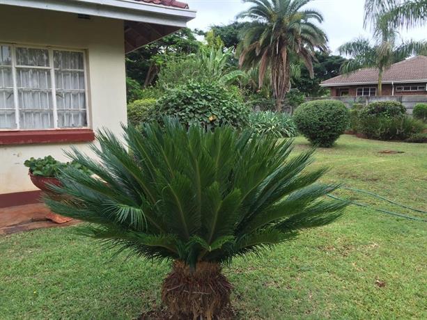 Palm villa Harare