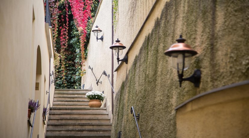 The Golden Wheel Boutique Hotel