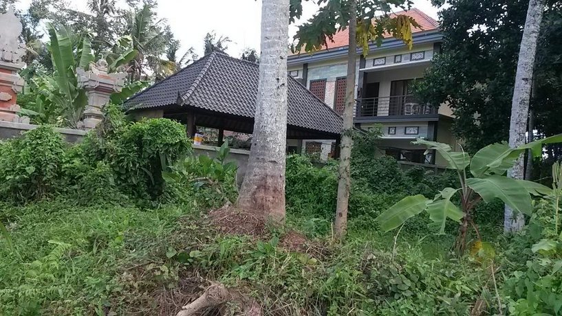 Demank Hidden Guesthouse