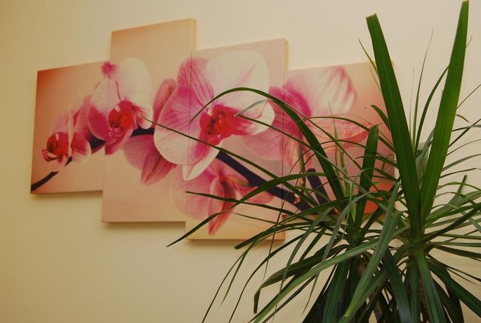 Apartament Luxury