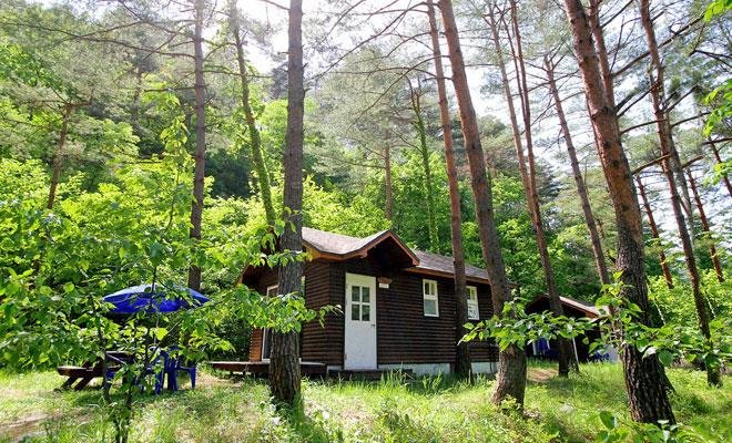 Forest House Yangyang