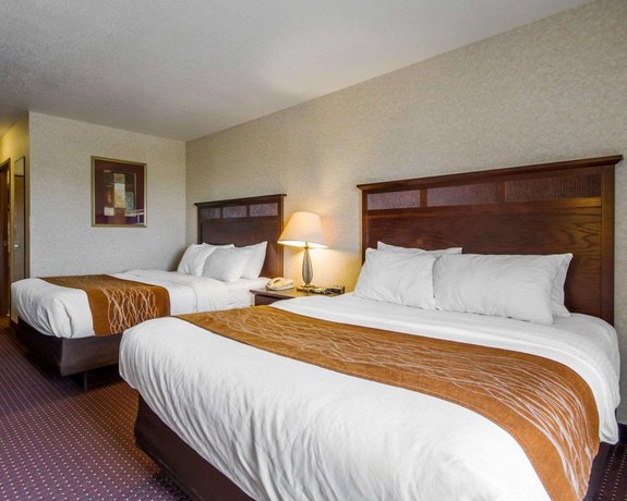 Comfort Inn Suites Deforest Compare Deals