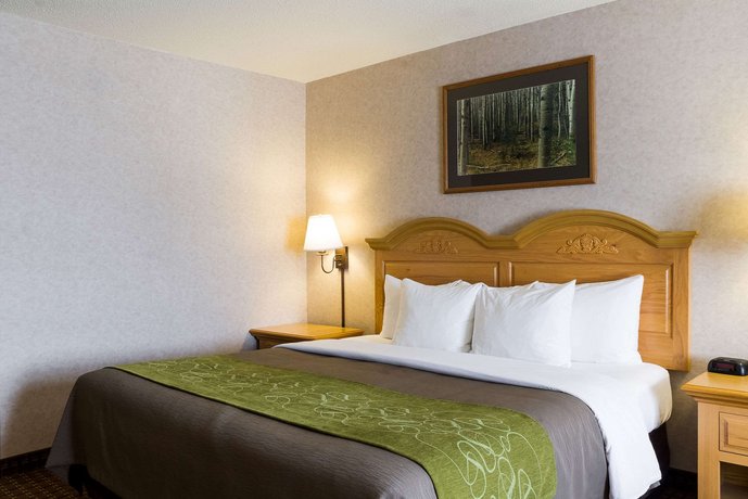 Comfort Inn And Suites Custer Compare Deals