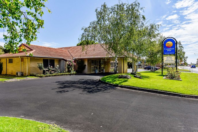 comfort inn silver birch