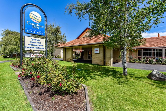 comfort inn silver birch