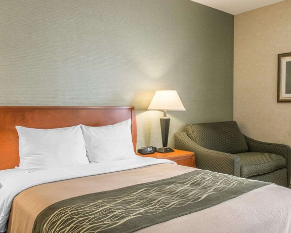 Comfort Inn Near Greenfield Village Dearborn Compare Deals