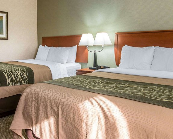 Comfort Inn Near Greenfield Village Dearborn Compare Deals