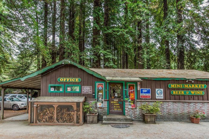 emerald forest of trinidad
