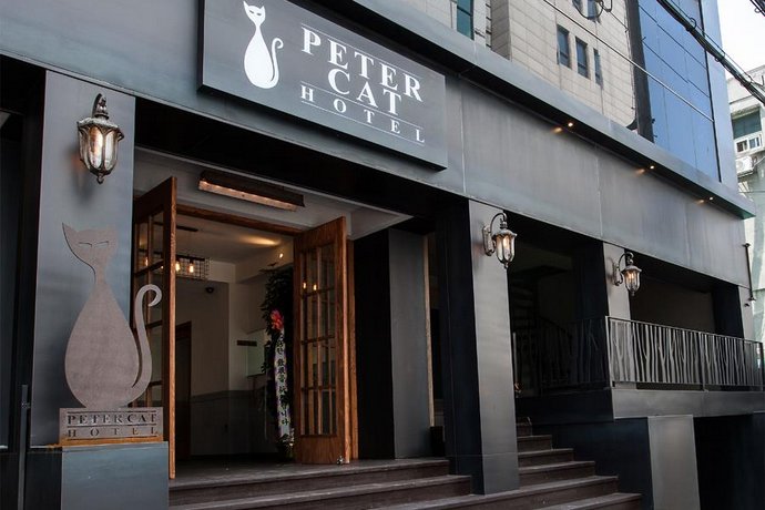 Petercat Hotel Hongdae