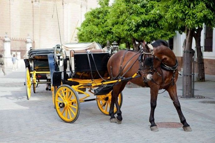 Hotel Dona Maria Seville