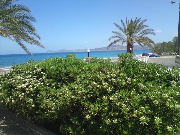 Hotel Petras Beach