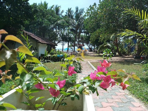 Sea Goggle Resort - Beach Front