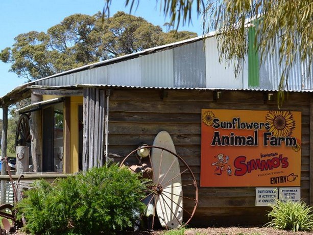 Sunflowers Animal Farm & Farmstay 선플라워 애니멀 팜 Australia thumbnail