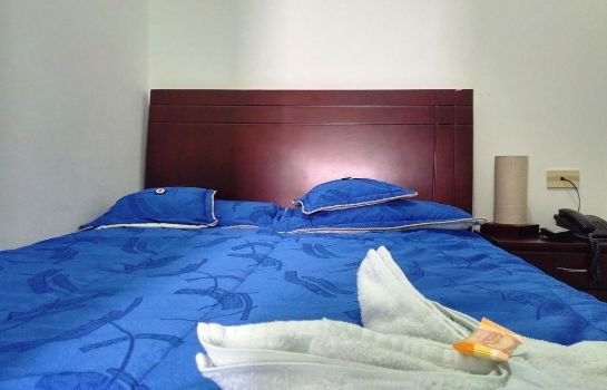 Hotel Andino Real