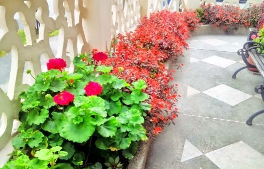 Hotel Andino Real