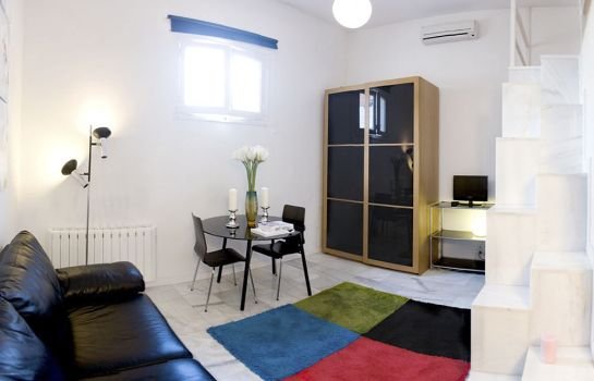 Apartamentos Puerta del Sol-Rastro