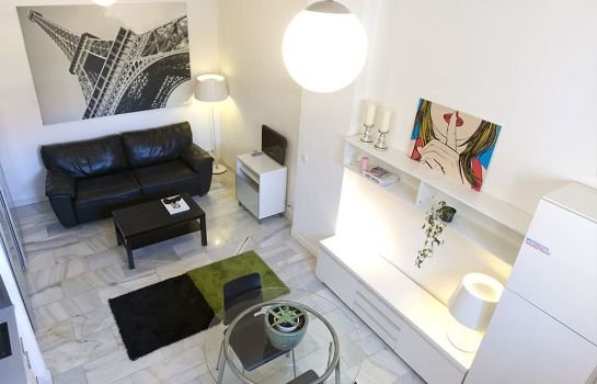 Apartamentos Puerta del Sol-Rastro