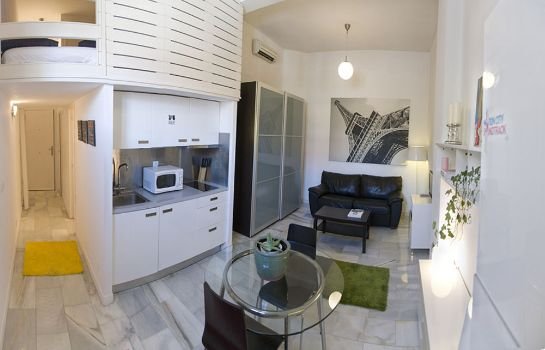 Apartamentos Puerta del Sol-Rastro