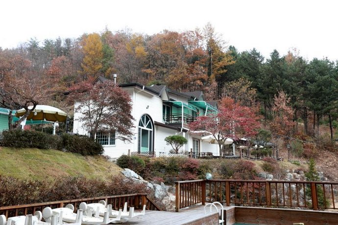 Pinearoma Pension