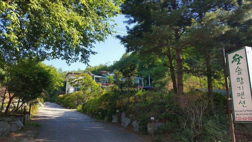 Pinearoma Pension