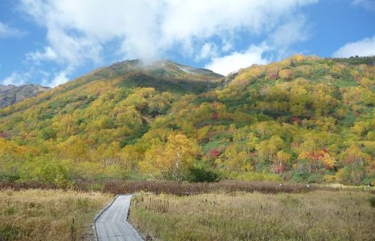 K's House Hakuba Alps - Backpackers Hostel
