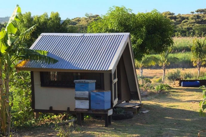 The BeeHive Fiji