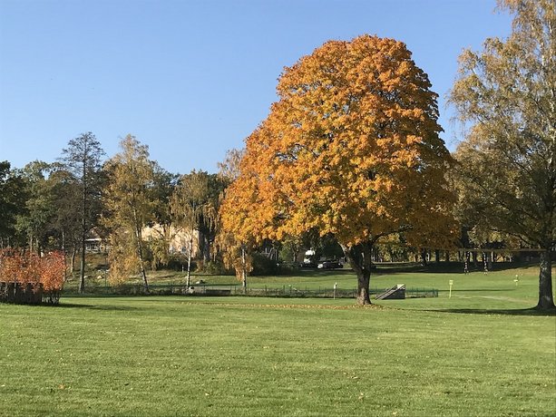 Hotel Hehrne Kok & Konferens