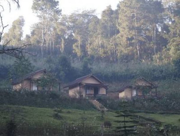 Mong Homestay Resort