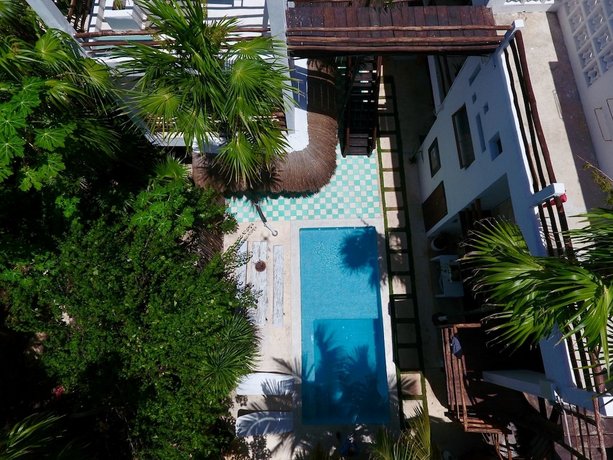 Residencia Gorila