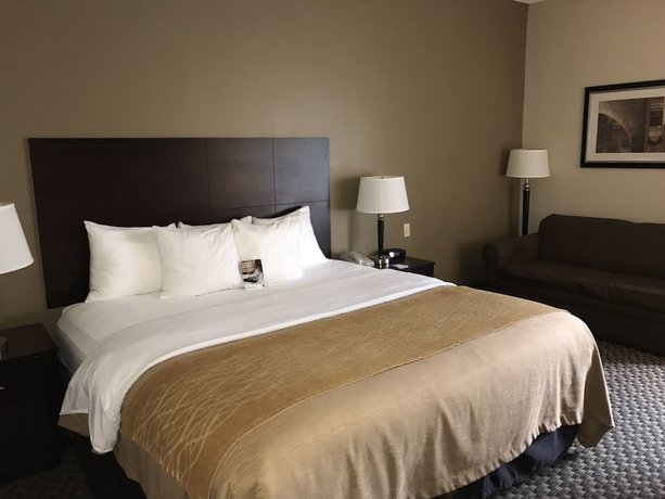 Comfort Inn Horn Lake