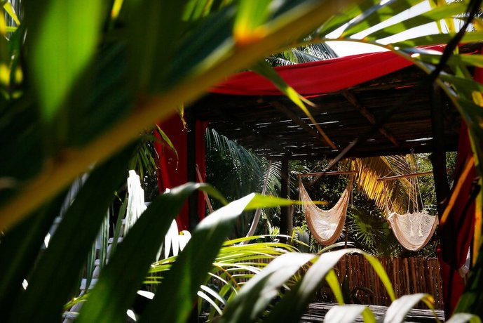 Casa Selva de Luz