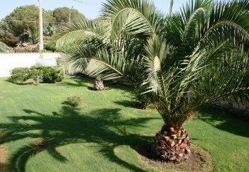 Bed And Breakfast Perla Del Sole