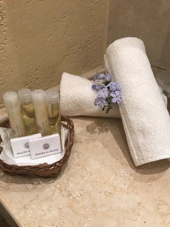 Hotel Raices Esturion