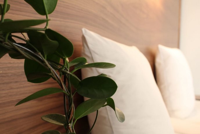Hotell Hjalmar