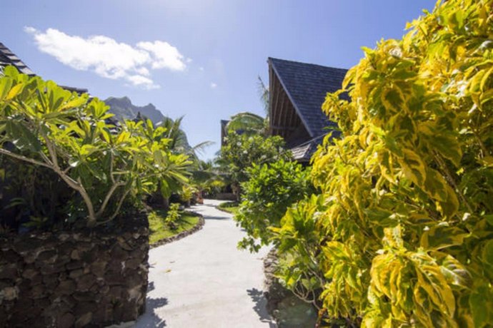 Oa Oa Lodge