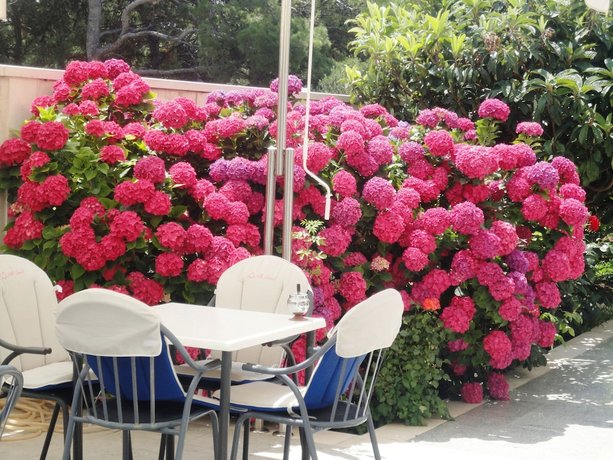 Hotel Villa Daniela