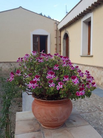 Patitiri