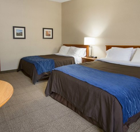 Comfort Inn Carrier Circle