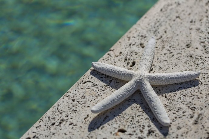 Nero D'Avorio Aparthotel