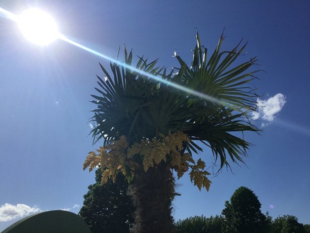 Nero D'Avorio Aparthotel