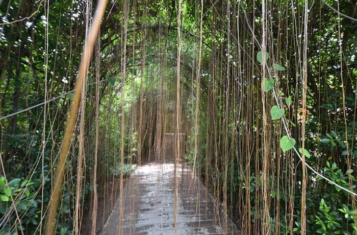 Phuket Botanic Resort