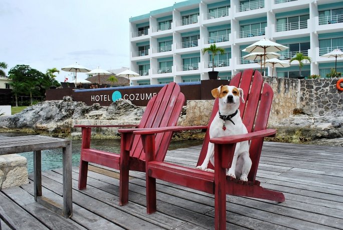 Hotel B Cozumel-Boutique by the Sea